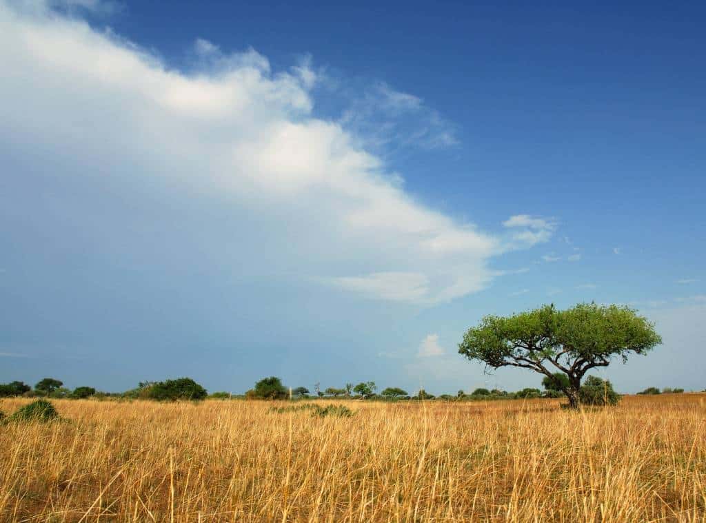 magnifique paysage au Cameroun 