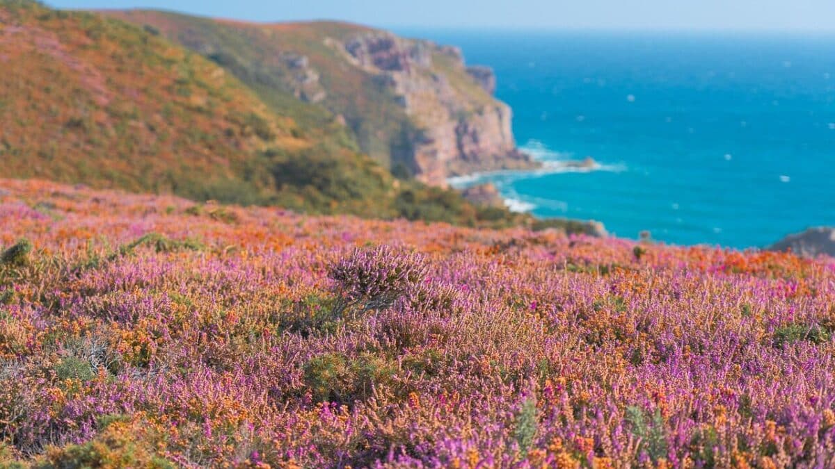 Paysage Breton pour les amoureux avec ses falaises et la nature