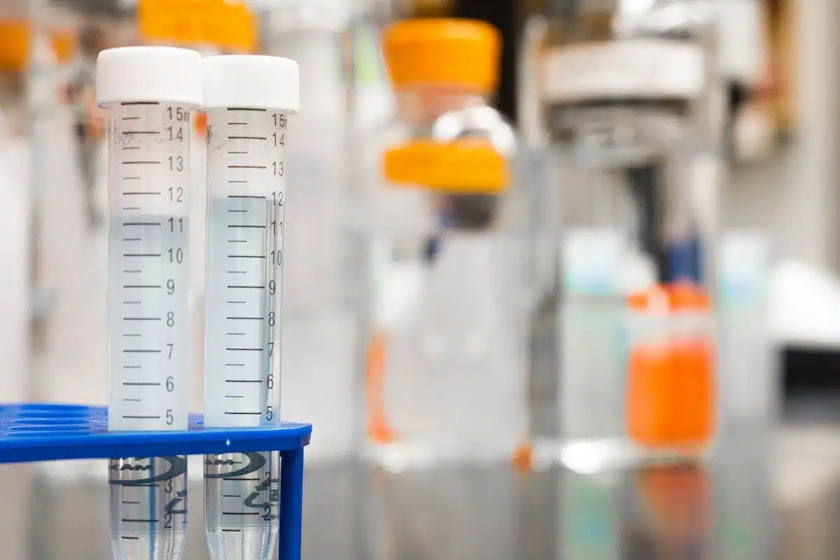 activités scientifiques