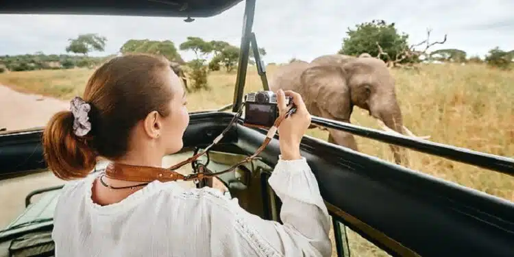 Quel budget prévoir pour faire un safari au Kenya