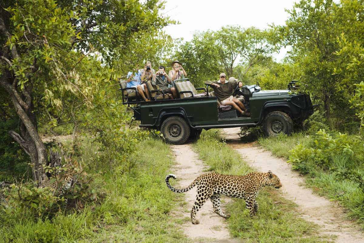 Quel budget prévoir pour faire un safari au Kenya