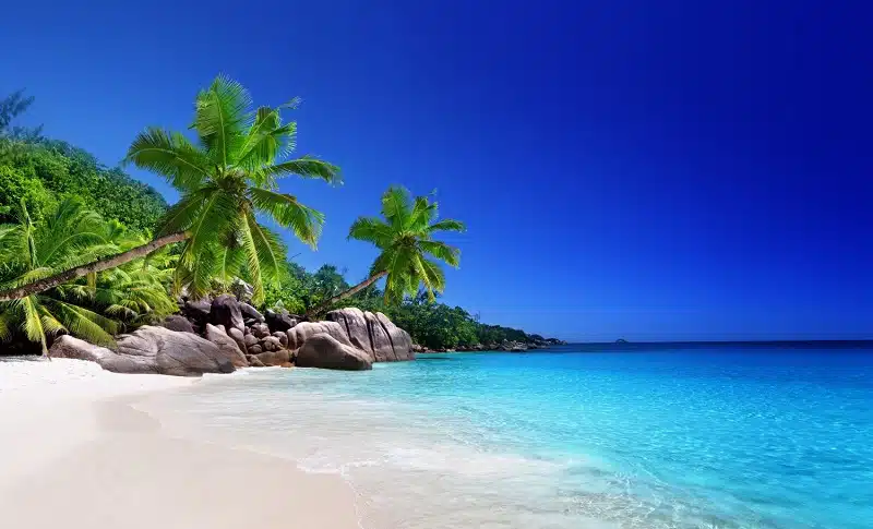 Quelle est la langue des Seychelles