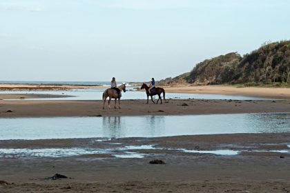 Découvrez les incontournables de la Camargue : 5 expériences à ne pas manquer !