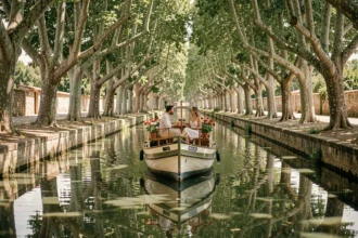 Péniche de croisière naviguant sous les platanes du Canal du Midi en été