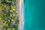 aerial view of trees near ocean