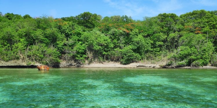 Martinique : Une Destination de Rêve en Avril avec Club Med