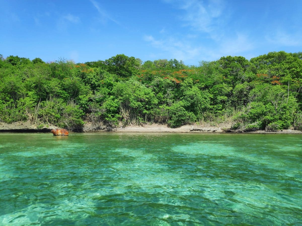 Martinique : Une Destination de Rêve en Avril avec Club Med